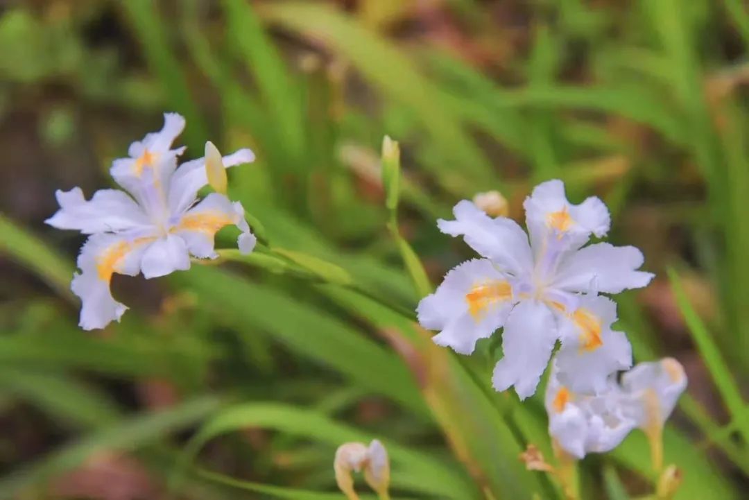 1xBET·Signup(中国区)-官方网站